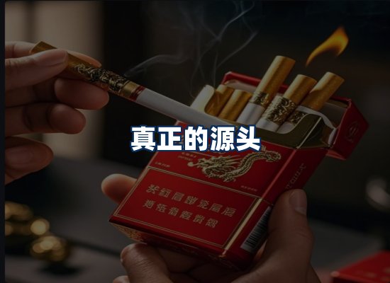 专业团队办公环境